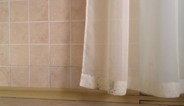 Best Commercial Mold Inspection  in Audubon Park, KY