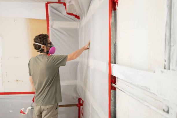 Best Asbestos and Lead Testing During Mold Inspection  in Audubon Park, KY