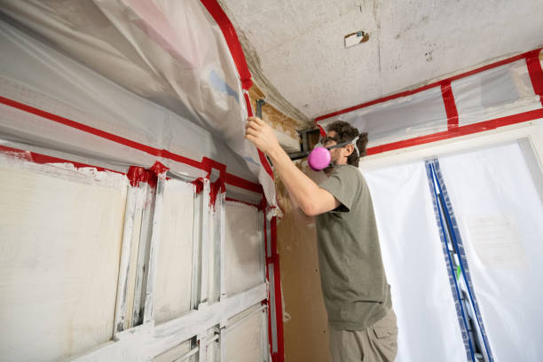 Audubon Park, KY Mold Removal Company