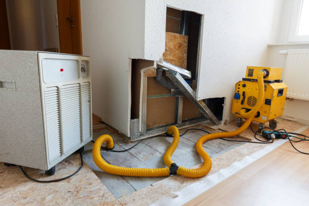 Best Mold Remediation for Healthcare Facilities  in Audubon Park, KY
